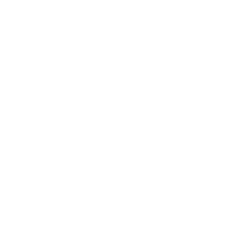 X Company